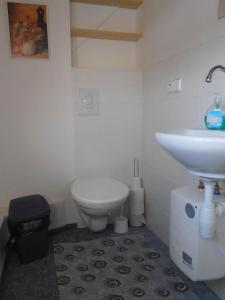 La salle de bains est pourvue d'un lavabo et de toilettes. dans l'établissement Chata u lesa, à Výprachtice