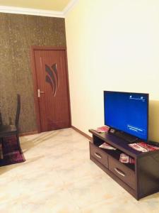 TV a/nebo společenská místnost v ubytování Aygut Guest House