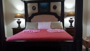 Katil atau katil-katil dalam bilik di North Star Villas