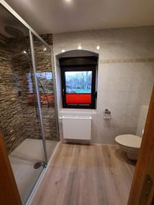 ein Bad mit einer Dusche, einem WC und einem Fenster in der Unterkunft Ferienwohnung Erika in Laußnitz