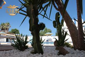 un grupo de cactus y palmeras frente a una piscina en Le Palme Holidays, en Palmadula