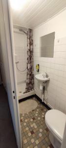 a bathroom with a toilet and a sink and a shower at Studio hypercentre à 2 pas de la gare. Appart n°3 in Agen