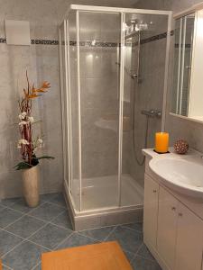 a bathroom with a shower and a sink at Ferienwohnung Pyhrgasblick in Rosenau am Hengstpass