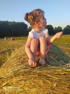 Hosté ubytování Agroturystyka u Ani