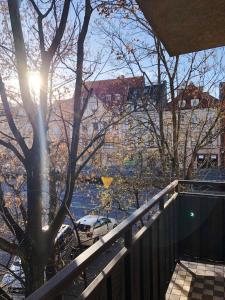 balkon z widokiem na drzewo i samochód w obiekcie Apartament Rynek 40m2 Wrocław Stare Miasto we Wrocławiu