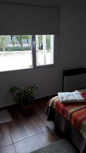 a bedroom with a bed and a plant and a window at Peggy´s House in Puerto San Julian