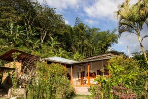 una casa en la selva con árboles en Habitación Las Bromelias, Pijao, Finca Flora del Rio, en Pijao