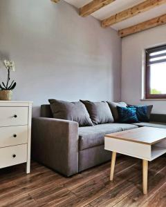 a living room with a couch and a table at Domki w Bieszczadach - Apartamenty in Hoczew