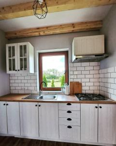 Η κουζίνα ή μικρή κουζίνα στο Domki w Bieszczadach - Apartamenty +9 φωτογραφίες