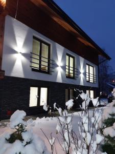 特尔乔夫Apartmánový Dom Terchová的雪中一旁有灯的房子