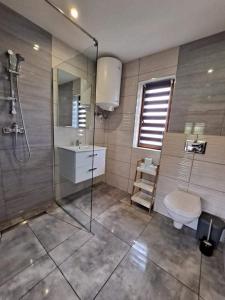 a bathroom with a shower and a toilet and a sink at Domki w Bieszczadach - Apartamenty in Hoczew
