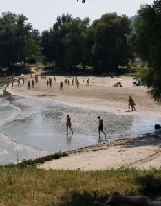 a group of people playing in the water on a beach at HAUS-DONAU in der Wachau in Aggsbach
