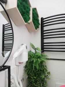 a bathroom with a green plant and a hair dryer at Przy rynku in Duszniki Zdrój