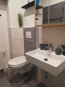 a bathroom with a white toilet and a sink at Ferienwohnung "Greizer Straße 26" in Reichenbach im Vogtland