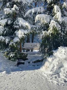 un banco de parque cubierto de nieve junto a los árboles en Girskiy Prutets, en Bukovel