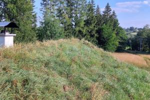 Fotografija v galeriji nastanitve CHALET BORŮVKA - biofarma na samotě v lesích v mestu Pavlov
