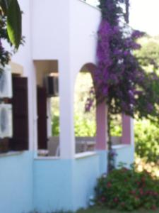 Zahrada ubytování Hotel Elytis
