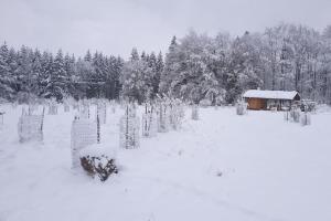 Fotografija v galeriji nastanitve CHALET BORŮVKA - biofarma na samotě v lesích v mestu Pavlov