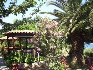 Zahrada ubytování Hotel Elytis