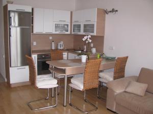 Kuchyň nebo kuchyňský kout v ubytování Apartmán Olomouc Ručilova