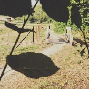 Fotografie z fotogalerie ubytování B&B Joy's v destinaci Berbourg