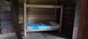 a small bunk bed in a wooden room at Cabaña los Termales in Nuquí