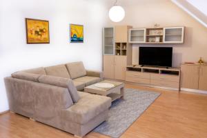 sala de estar con sofá y TV de pantalla plana en Apartmani Strsoglavec en Krapinske Toplice