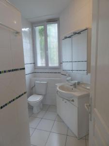 ein weißes Badezimmer mit Toilette und Waschbecken in der Unterkunft Appartement Charmant, quartier calme in Nancy