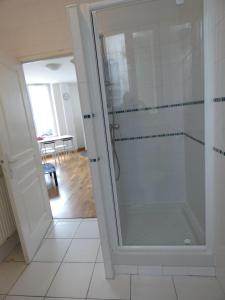 La salle de bains est pourvue d'une douche avec une porte en verre. dans l'établissement Appartement Charmant, quartier calme, à Nancy