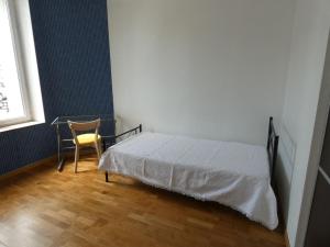 ein Schlafzimmer mit einem Bett, einem Schreibtisch und einem Stuhl in der Unterkunft Appartement Charmant, quartier calme in Nancy
