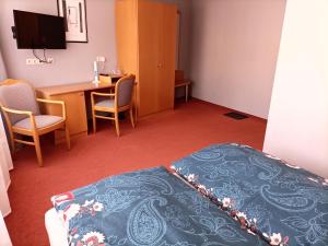 TV a/nebo společenská místnost v ubytování BodenSEE Gästehaus Tettnang ALBERGO