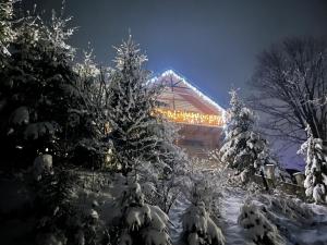 a building covered in snow with trees in front of it at Villa PidStromom in Mykulychyn
