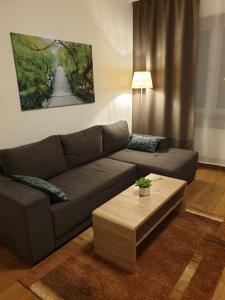 a living room with a couch and a coffee table at Wohnung in Hannover Zentrum in Hannover