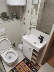 La salle de bains est pourvue de toilettes, d'un lavabo et d'une douche. dans l'établissement Apartman Hill, à Sarajevo