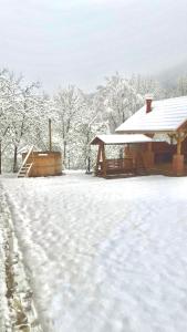 a snow covered yard with a gazebo at Pensiunea La Buru in Căraciu