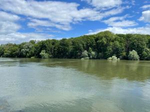 a view of a river with trees in the background at Paris Camping Ile du Roi in Triel-sur-Seine