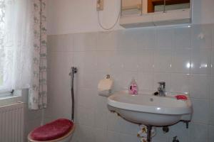 a bathroom with a sink and a toilet at Ferienwohnung Tor zur Ostsee - a55965 in Mellenthin