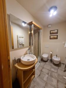 łazienka z 2 toaletami, umywalką i prysznicem w obiekcie Bilocale Ristrutturato w mieście Madesimo