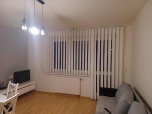 Televízia a/alebo spoločenská miestnosť v ubytovaní Apartament Artemida