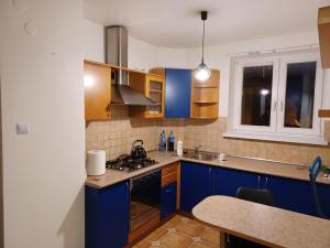 Kuchyňa alebo kuchynka v ubytovaní Apartament Artemida