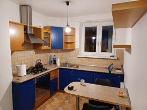 Kuchyňa alebo kuchynka v ubytovaní Apartament Artemida