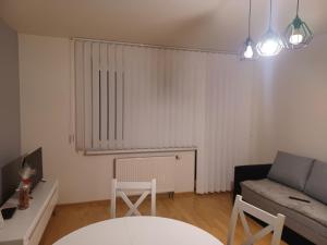 Televízia a/alebo spoločenská miestnosť v ubytovaní Apartament Artemida