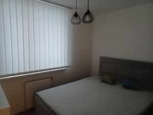 Posteľ alebo postele v izbe v ubytovaní Apartament Artemida
