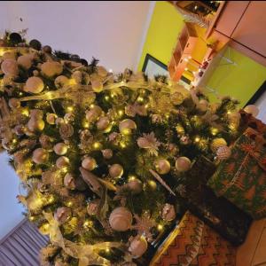 Fotografie z fotogalerie ubytování Pension Am Nationalpark v destinaci Stadt Wehlen