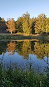 Photo de la galerie de l'établissement Pastourelle, à Quarré-les-Tombes