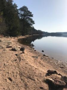 Photo de la galerie de l'établissement Pastourelle, à Quarré-les-Tombes 16 autres photos