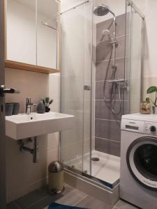 y baño con ducha con lavabo y lavadora. en Ferienwohnung "Greizer Straße 26" en Reichenbach im Vogtland