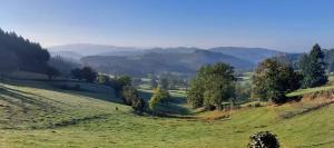 a green field with trees and mountains in the background at La Mazille , cossy vakantiestudio met zwembad in zuid-Bourgogne in Anglure-sous-Dun