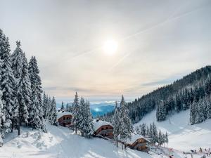 a snow covered mountain with houses and trees at Sunshine Apartments Golte - Sauna in Mozirje +14 photos
