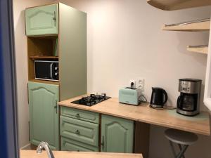 cocina con armarios verdes y encimera con microondas en GITE DE L'ATELIER Herminois en Sainte-Hermine